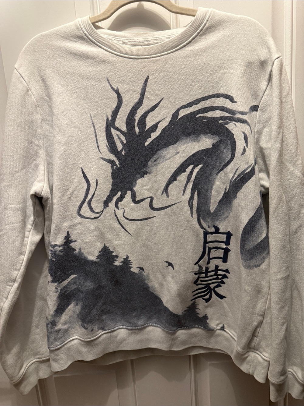 Graphic Dragon Crewneck Sweatshirt - White/Gray